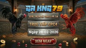 GAKING79 Xem Full Clip Da Ga Truc Tiep CPC4 Ngay 28022026 1