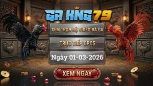 GAKING79 Xem Full Clip Da Ga Truc Tiep CPC5 Ngay 01032026 1