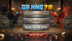 Xem Full Clip Đá Gà Trực Tiếp CPC5 Ngày 26/04/2026