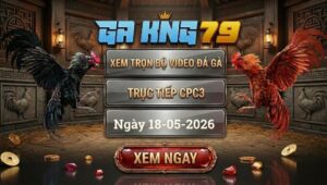 Xem Full Clip Đá Gà Bồ CPC3 Ngày 18/05/2026