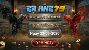Xem Full Video Đá Gà CPC2 Ngày 23/06/2026 Tại GAKING79