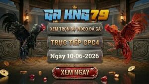 Xem Full Video Đá Gà CPC5 Ngày 10/06/2026 Tại GAKING79